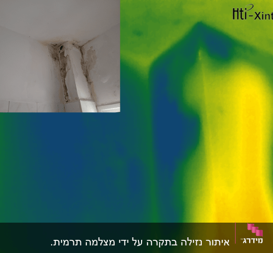 תמונה תרמית של קיר עם סימני רטיבות